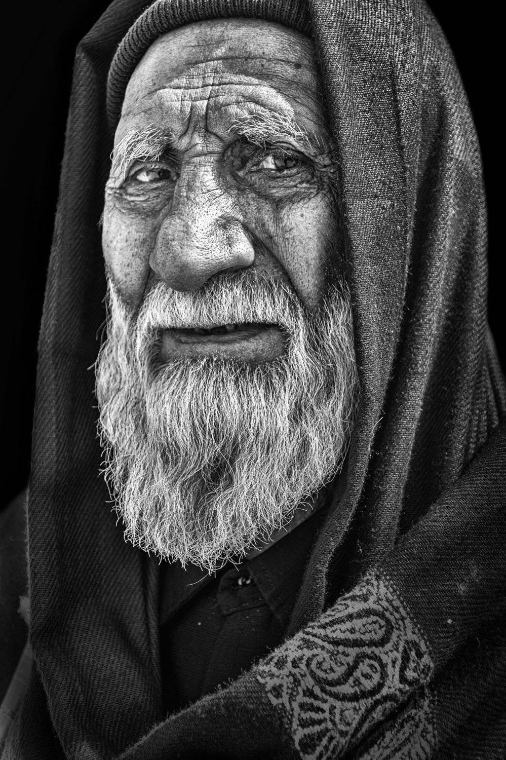 Автор: Morteza portrait, Morteza