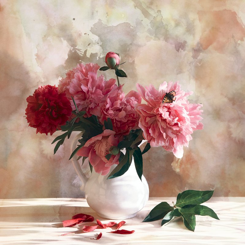 Пионы Пионыphoto preview