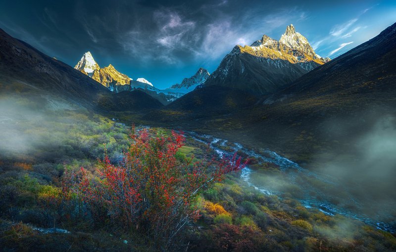 фото превью