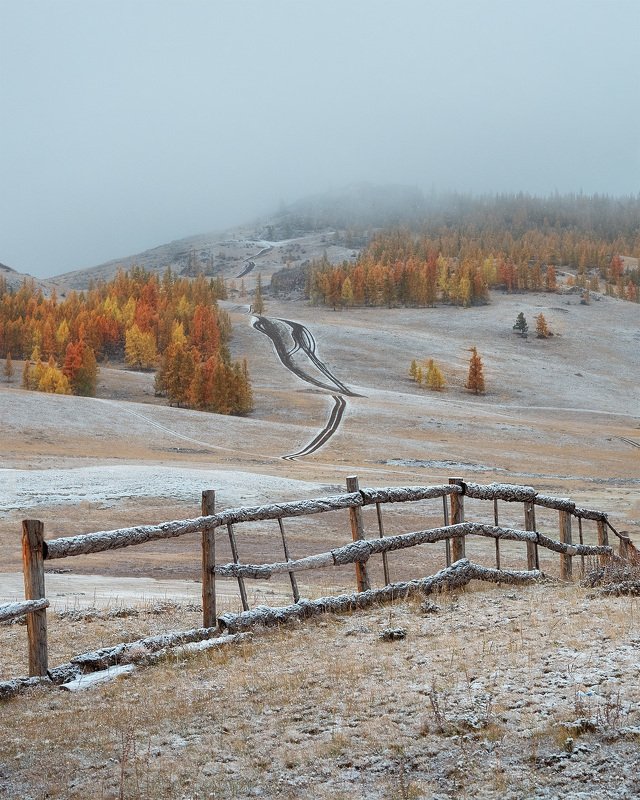 Алтайphoto preview