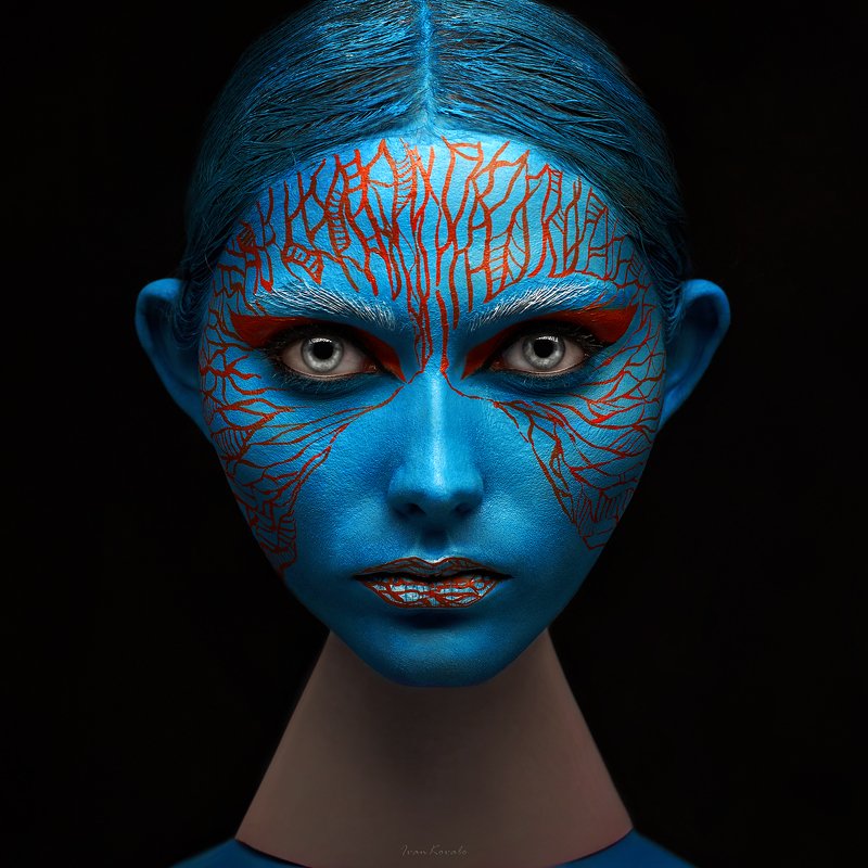 wall art, wallpaper, face art, Zebraphoto preview