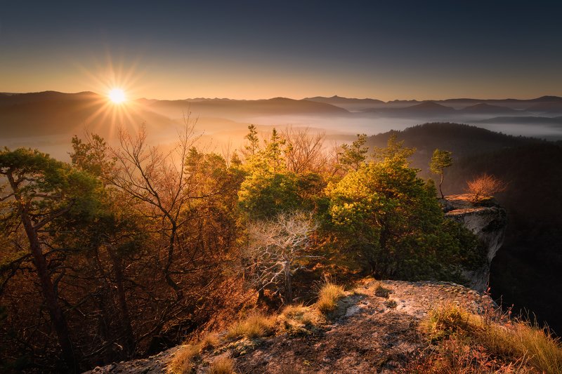 Sunny Sulovphoto preview