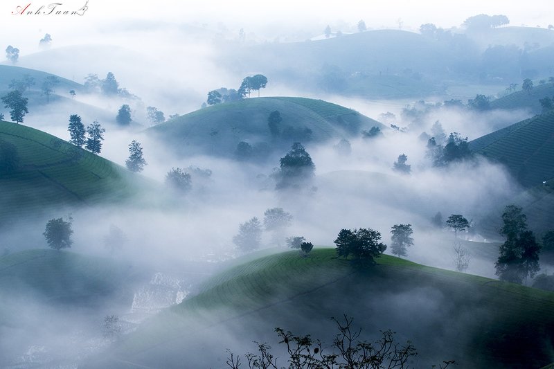 #sellingphoto.#landscape.#phuthovienam. Morning Long Cocphoto preview