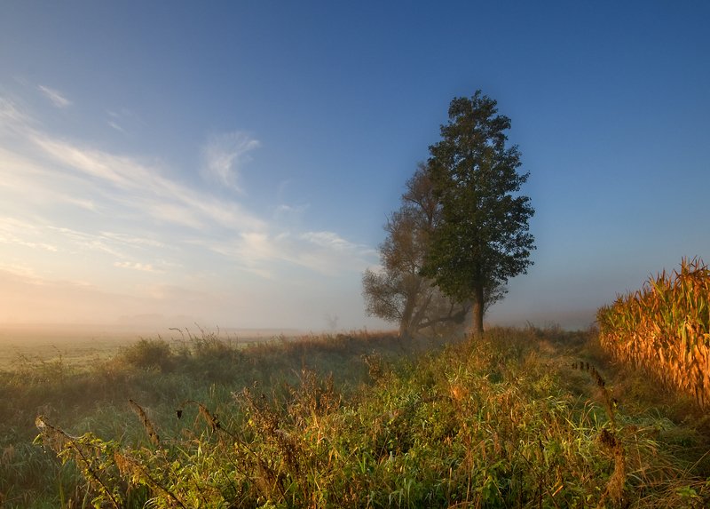 morning light...photo preview