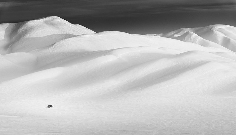 Среди гор белоснежныхphoto preview