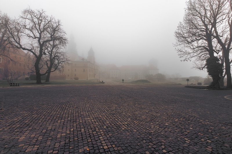 Fadding in to the Fogphoto preview