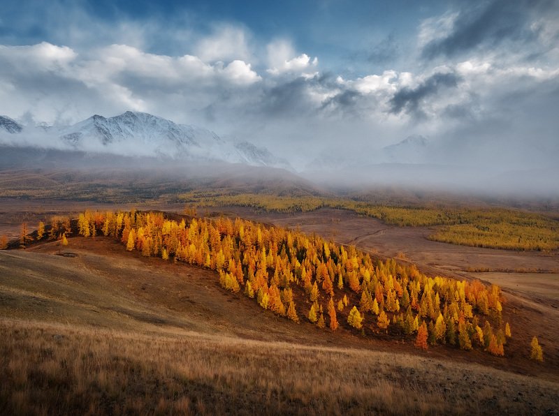 Алтайphoto preview