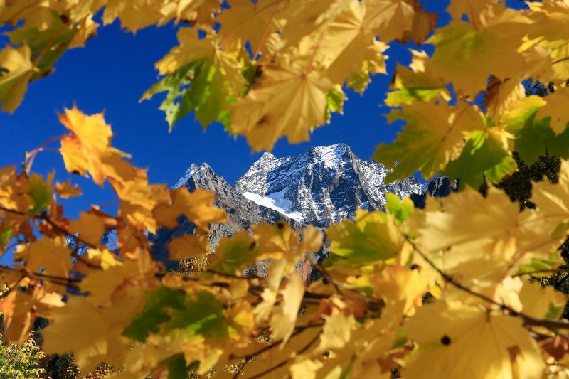 домбай, кчр, тебердп, горы, photo preview