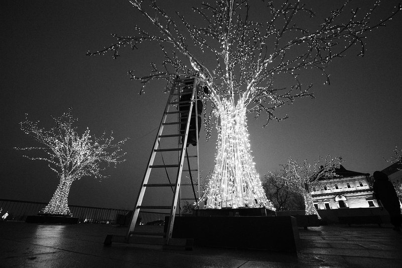 ночь, иллюминация, праздник, рождество, новый год, стремянка, лестница, урожай Время сбора урожаяphoto preview
