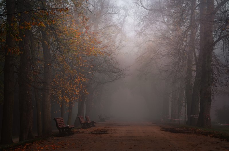 Парк Стромовка.photo preview