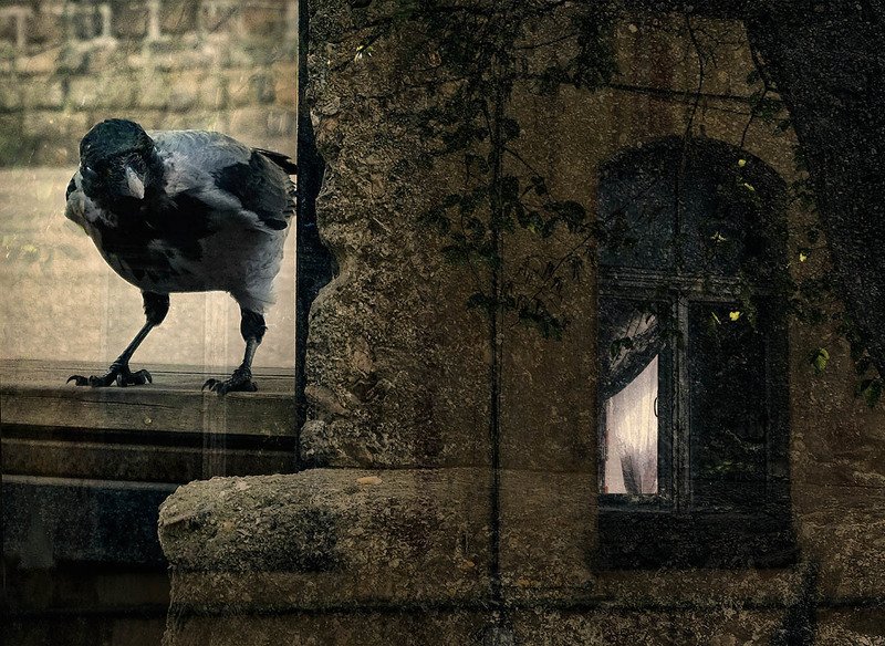 Немного из Калининградаphoto preview