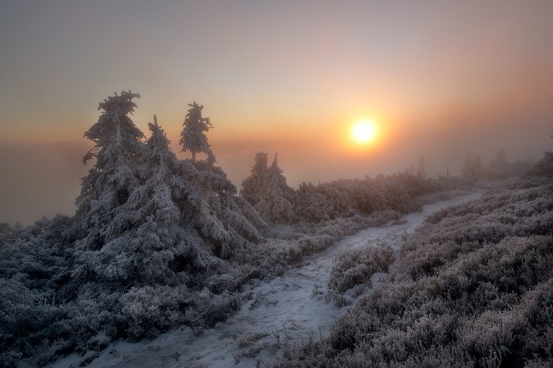 Sunrisephoto preview