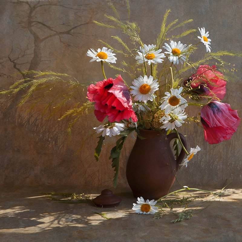 цветы, ромашки, маки Вспомним летоphoto preview