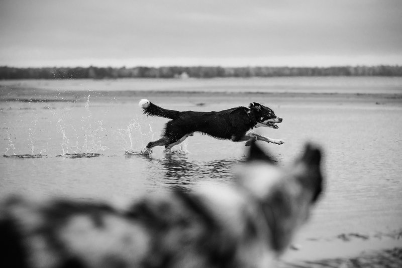 North Seaphoto preview