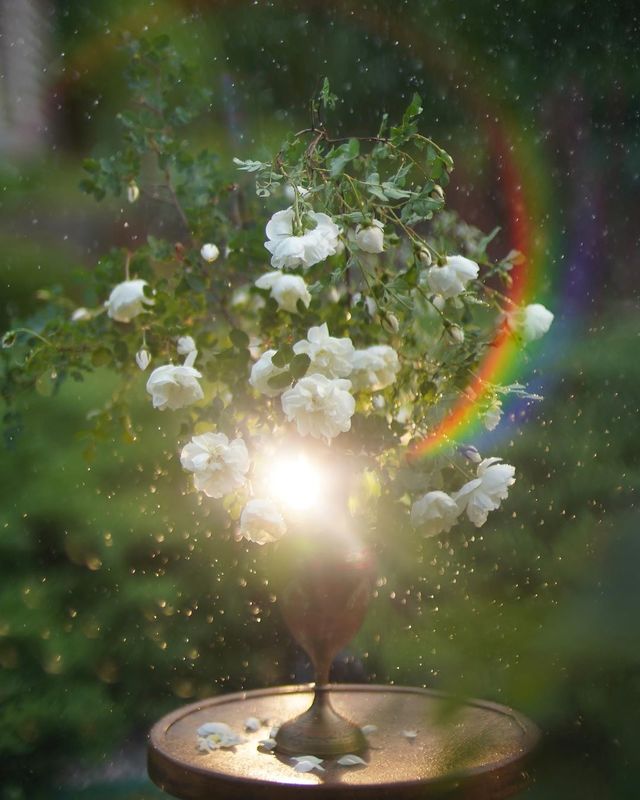 лето, цветы, букет, свет, боке photo preview