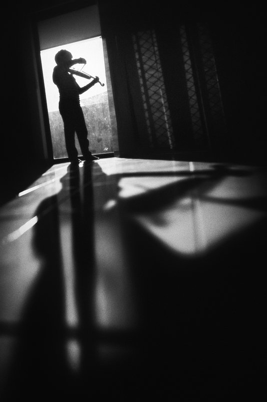 Fiddler under the roofphoto preview