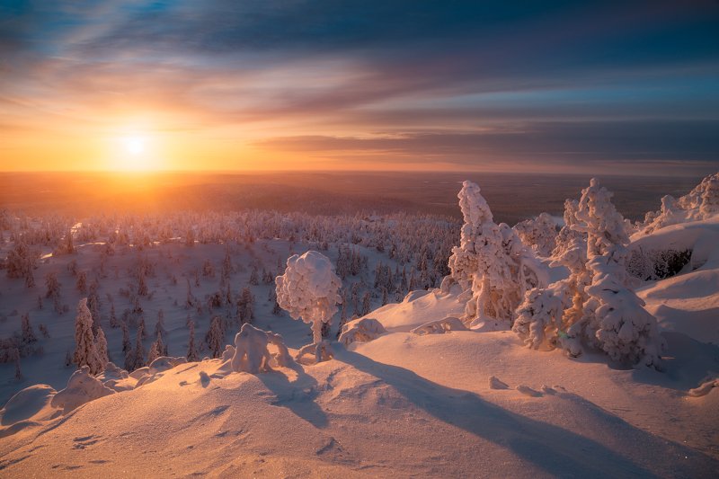 снег, зима, вечер, закат, ёлки, финляндия Снежный зефир и уходящее солнцеphoto preview