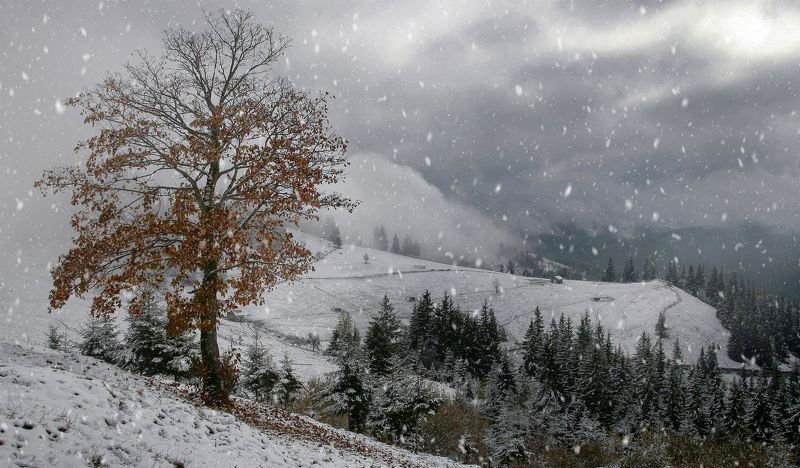 Осенний форпостphoto preview