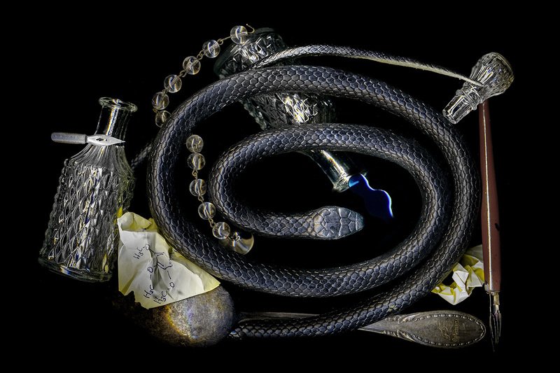 Ядовитая кухняphoto preview