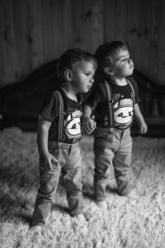 brotherphoto preview