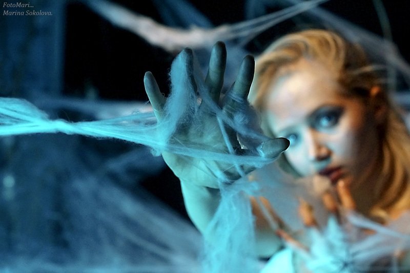 портрет,образ,девушка,красивая девушка В паутине...photo preview