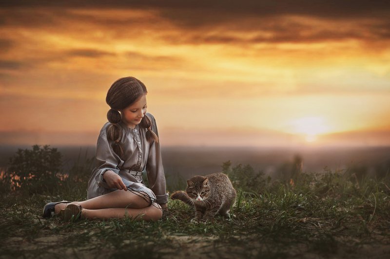 кот, играть, девочка, портрет, ребенок, детство, кошка, закат, природа, вечер Девочка с котом.photo preview