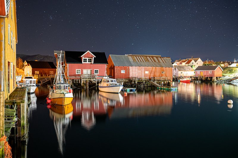 Bud - Norwayphoto preview