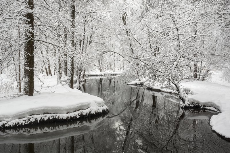 Dark watersphoto preview