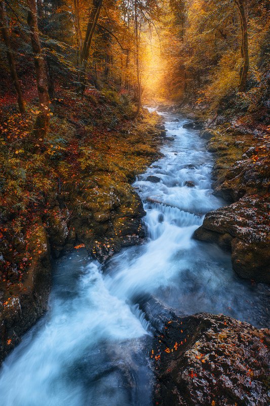 kkamacnik, croatia, autumn, river, foliage, fall, forest,  kamacnikphoto preview