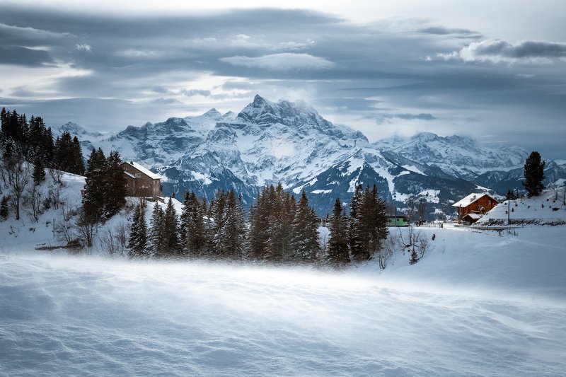 горы, метель,пурга, снег, ветер, швейцария *Метель*photo preview