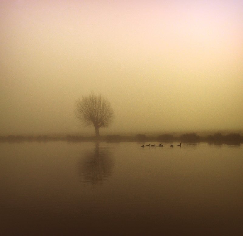 December Morningphoto preview