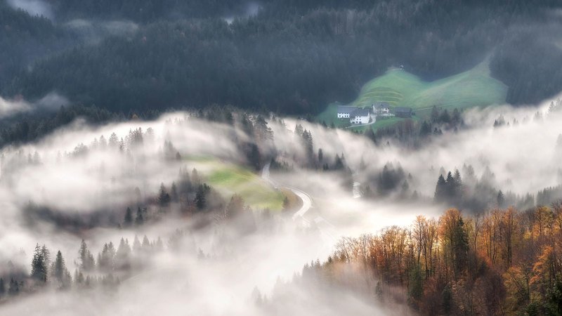 словения, slovenia, туманы словении, slovenia landscape, slovenia landscape photography Вьюга...photo preview