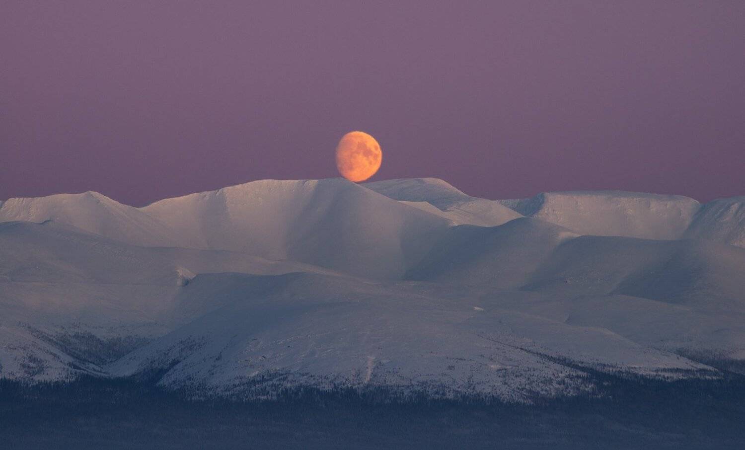 Ночное светило. Автор: Виталий Истомин пейзаж,россия,мурманская область,хибины,север,зима,никон, Виталий Истомин