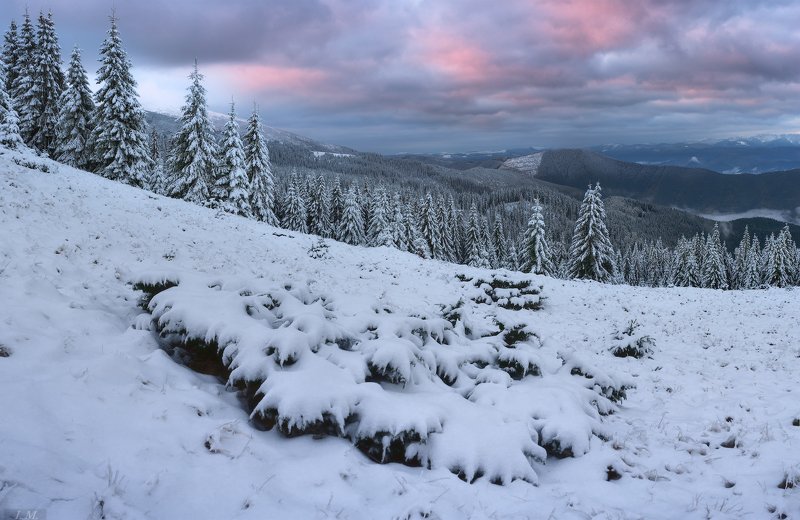 carpathians, morning, snow, panorama, pine trees, mountains, clouds, fog, winter, landscape, утро, карпаты, снег, горы, зима, снегопад, черногора, украина, панорама, путешествие, ели, облака, рассвет, туман, пейзаж, ukraine .. после снегопада ..photo preview