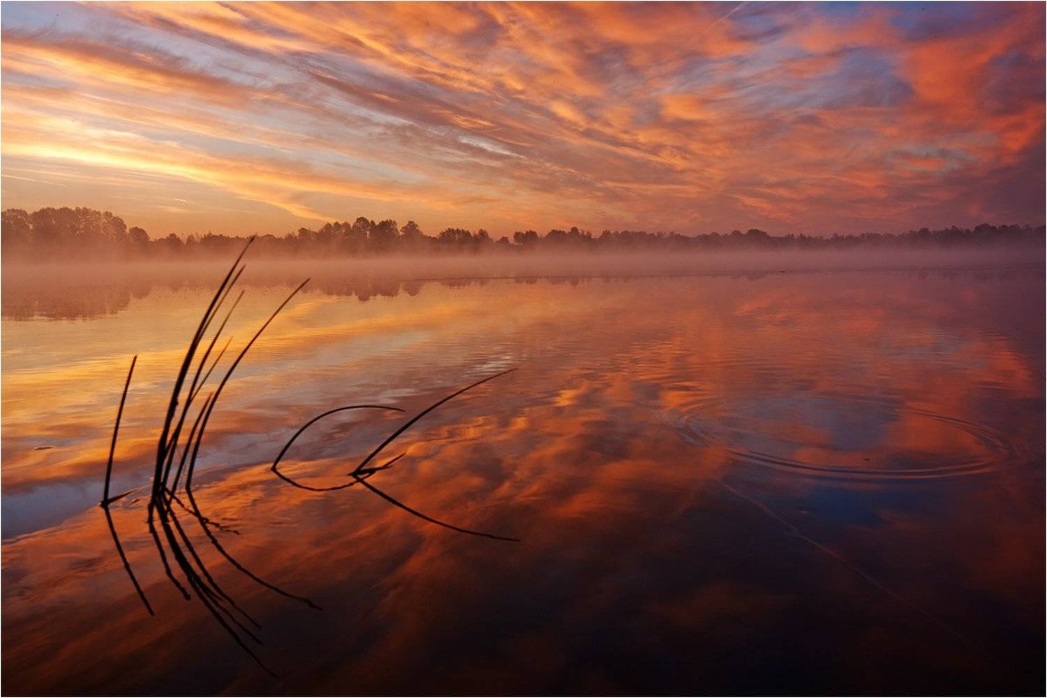 , Степанов Сергей