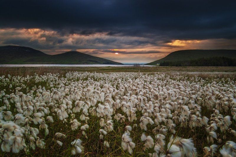 Late Spring in Mournephoto preview