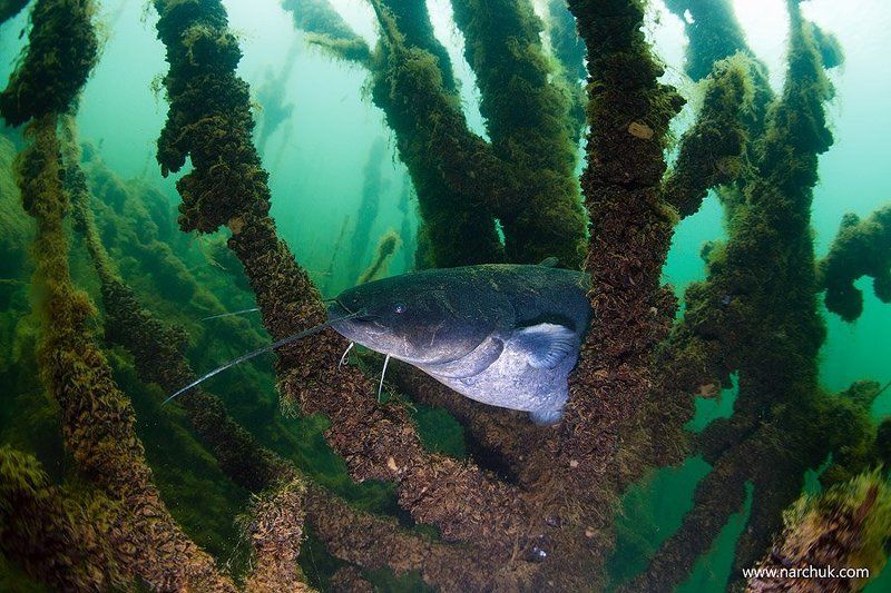 В гостях у сказкиphoto preview