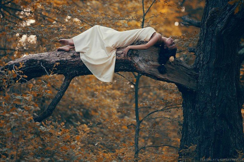 Волшебство, Природа, Сон, Фея Serenityphoto preview