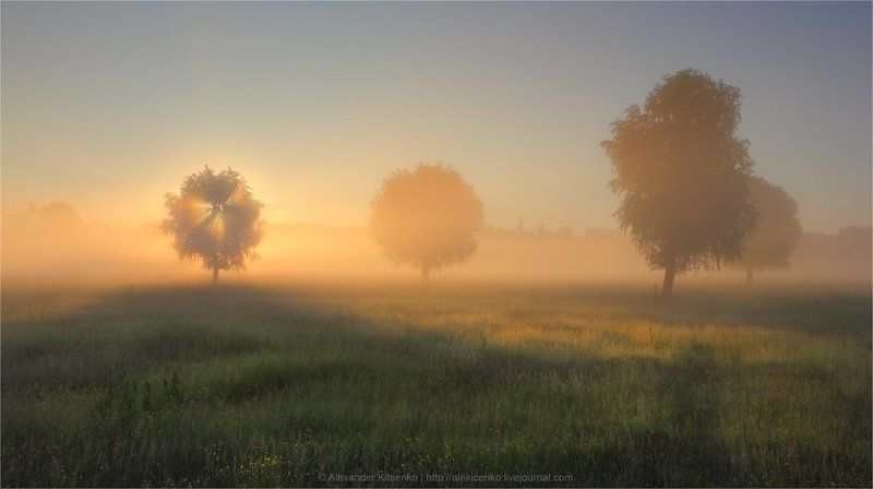 Ой пойду, пойду...photo preview