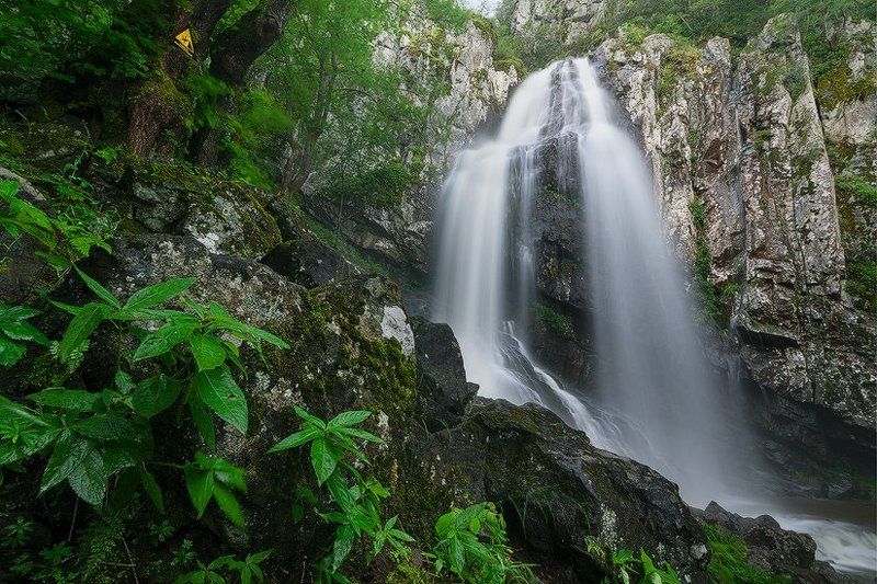 Portfoliophoto preview