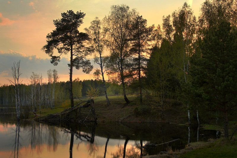 Вечерняяphoto preview