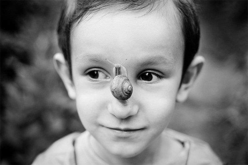 Summer in sityphoto preview