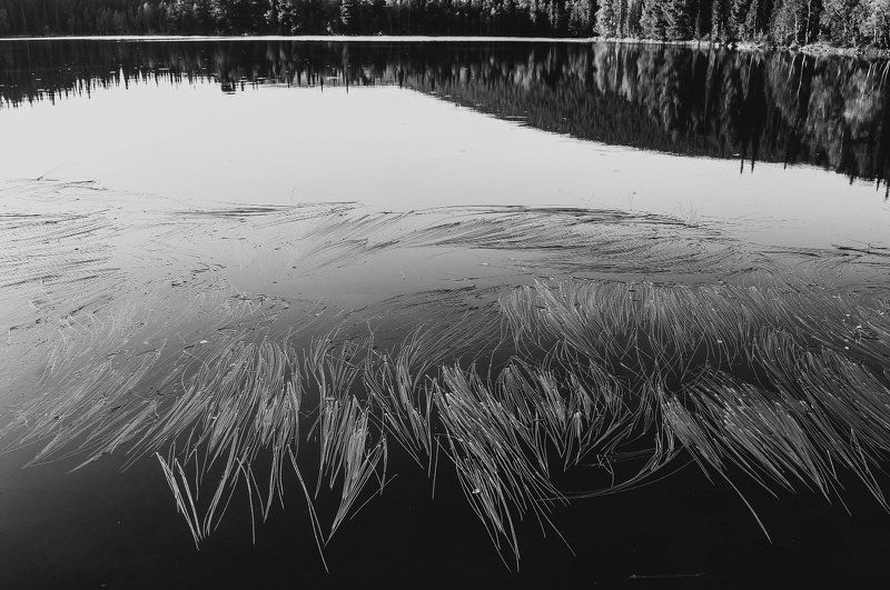 Озероphoto preview