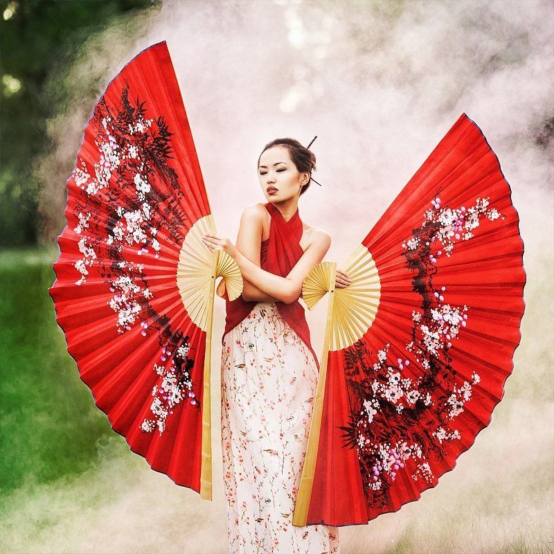 Butterflyphoto preview