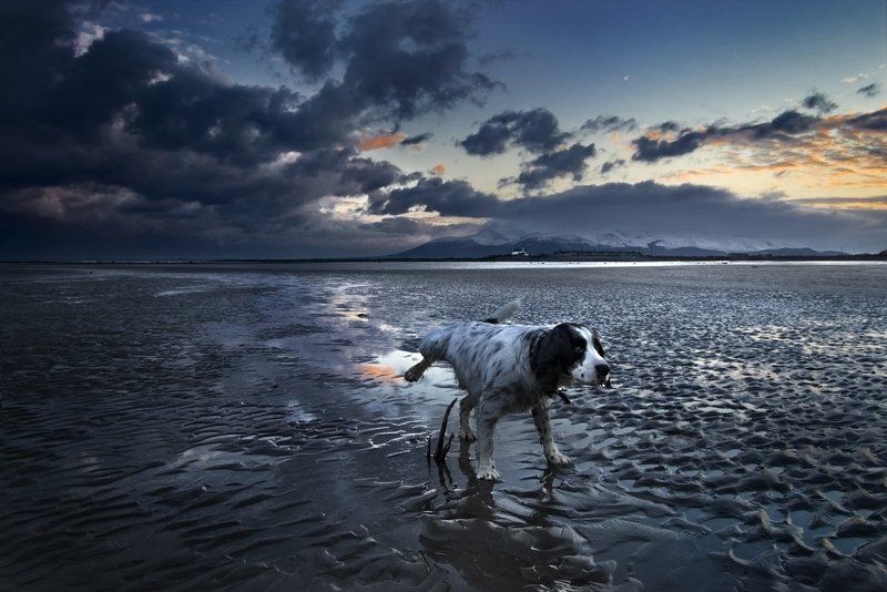 Only Tree Aroundphoto preview