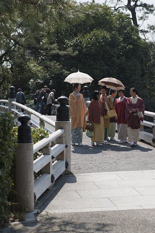 Киотский протокол. фото превью