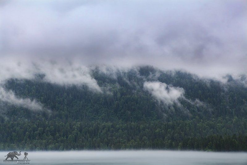 IN THE FOG UNDER THE CLOUDSphoto preview