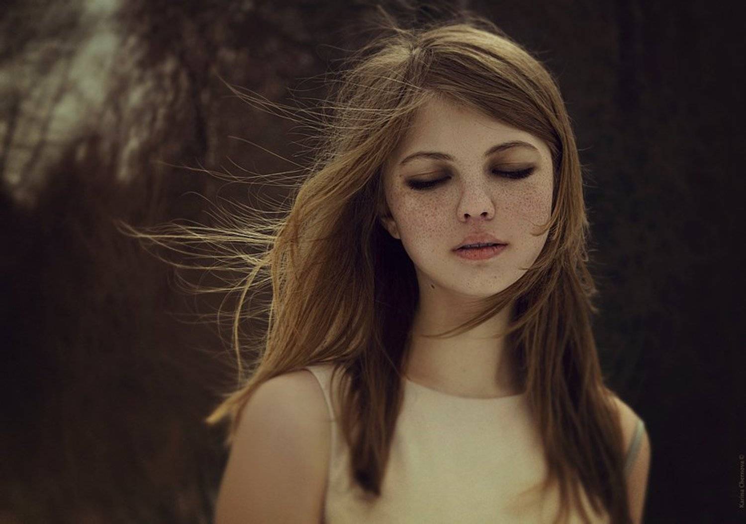 Heat dissipation. Автор: Чернова Карина , Чернова Карина