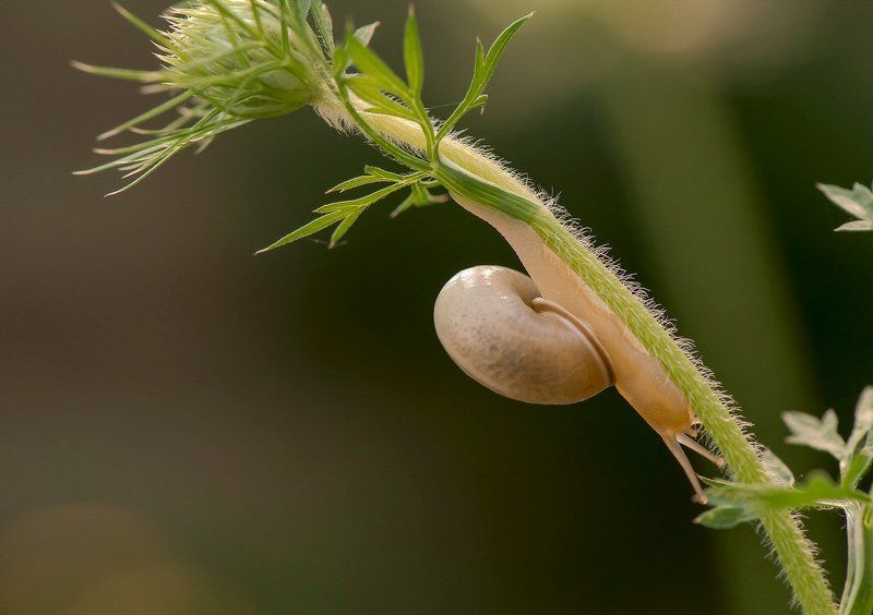 Ещё три дня и домаphoto preview