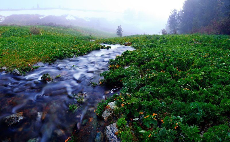 Горный ручейphoto preview